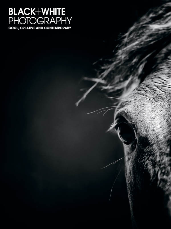 Black+White Photography # 249, February 2021 Number #249 magazine back issue cover