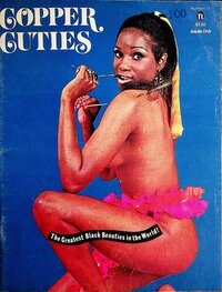 Copper Cuties # 12 magazine back issue cover