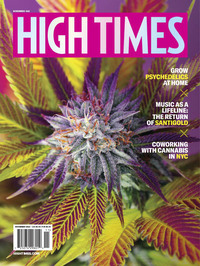High Times November 2022 magazine back issue cover