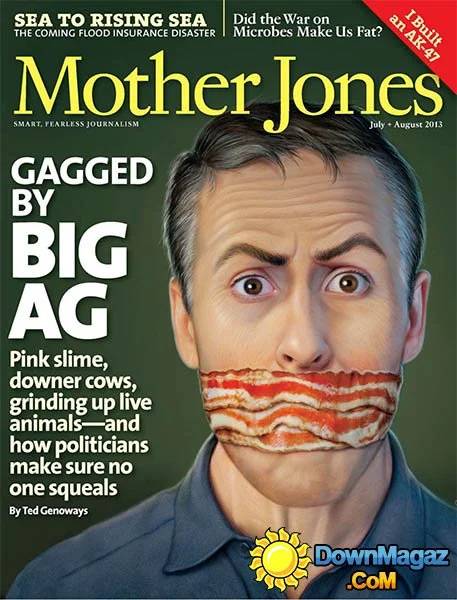 Mother Jones July/August 2013 July 2013 magazine back issue cover
