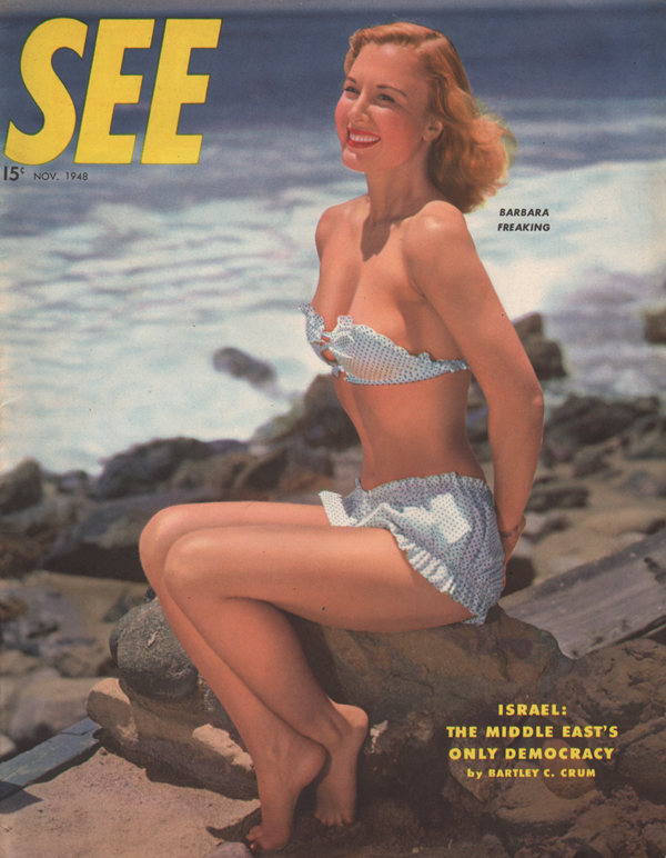 See November 1948 November 1948 magazine back issue cover