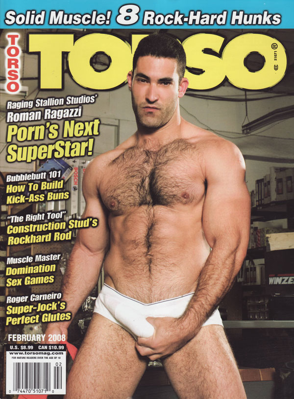 Torso February 2008 February 2008 magazine back issue cover