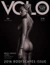 Volo # 40 magazine back issue cover