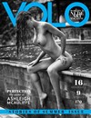 Volo # 41 magazine back issue cover
